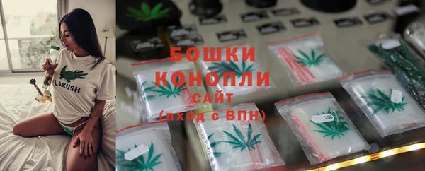 сатива Белокуриха