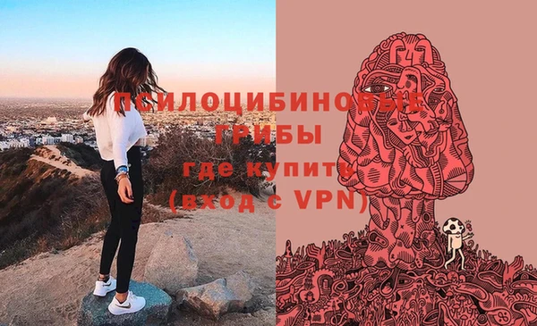 сатива Белокуриха