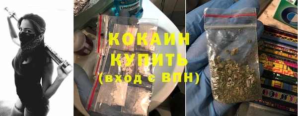 сатива Белокуриха