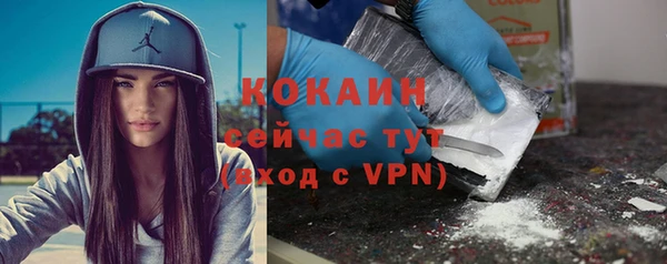 сатива Белокуриха