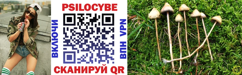 Псилоцибиновые грибы мухоморы  где купить   Воскресенск 